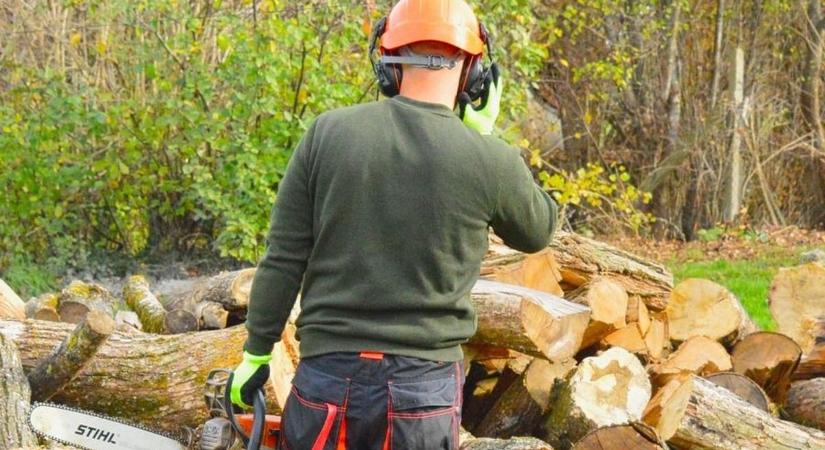 Nem mindennapi tettet vitt véghez a Speciális Mentők tagja – egy idős házaspárnak segített