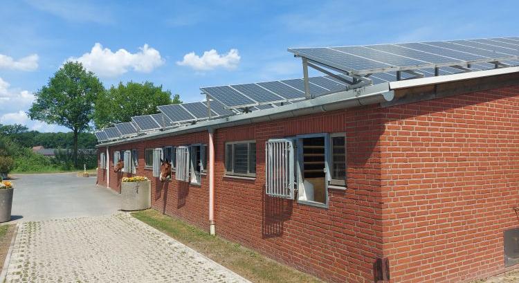 Annál drágább az áram, minél több a megújuló energia?