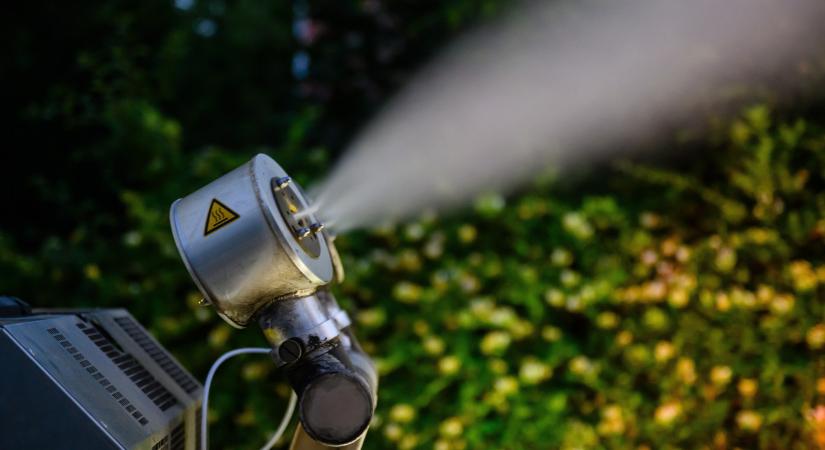 Szúnyogok által cipelt betegségekre csap le majd egy új pécsi labor