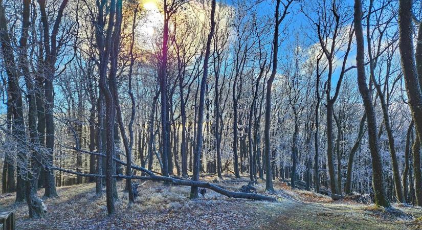 Most már tudjuk, ekkor fog nyakunkba zúdulni a fehér áldás. Készen áll az autód és a ruhatárad a téli üzemmódra?