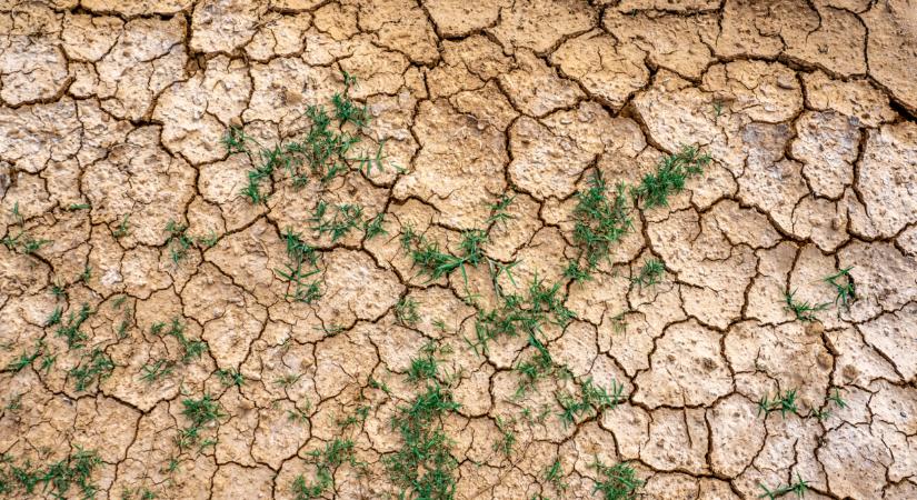 Vége: megszűnt az Aszályvédelmi Operatív Törzs