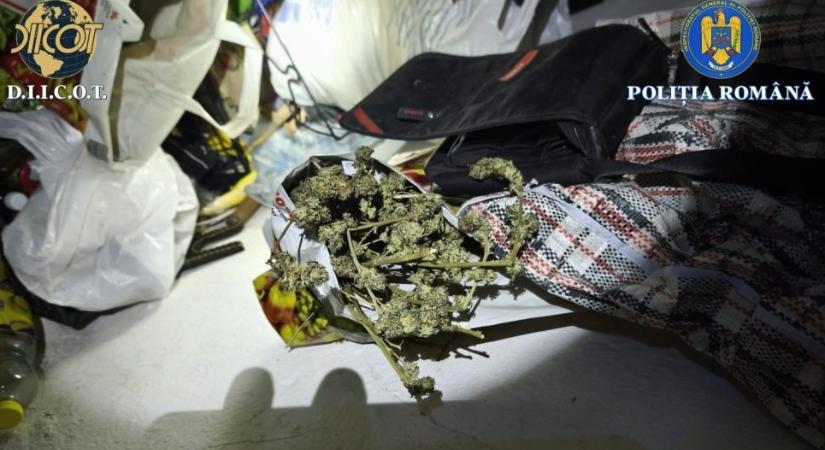 Drograzzia Háromszéken: házkutatások és kihallgatások egy helyi drogdíler ügyében