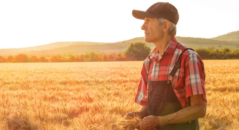 Agrárszektor Konferencia: terem-e profit az agráriumban?