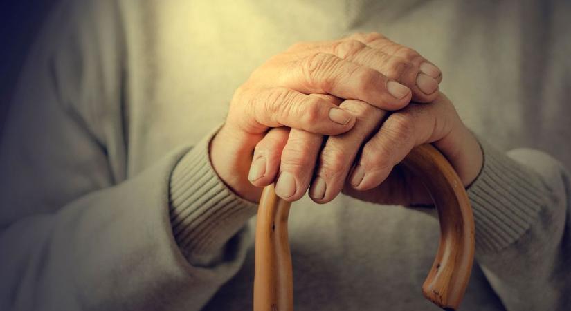 Teljes sokk után gátugró mutatvány: 16 éves fiú kóstolt rá az idős nénire Hevesben