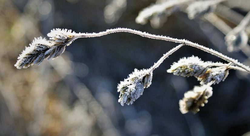 Az ősz eddigi leghidegebb éjszakáján vagyunk túl: közel volt a -10 fok északkeleten