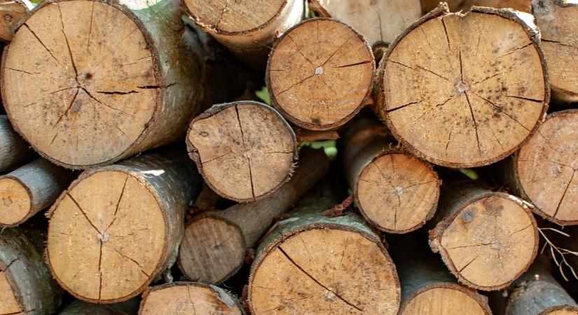 Meghalt, mert tötymörögtek a munkatársai