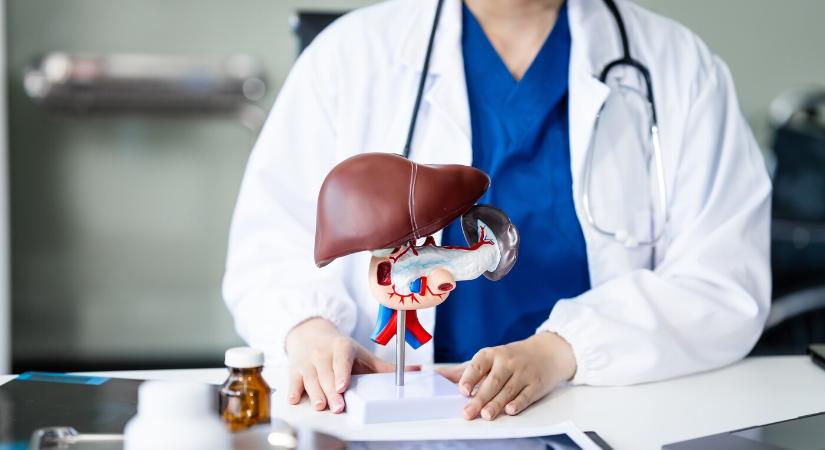 Már 29 áldozata van a sárgaságnak az idén Csehországban