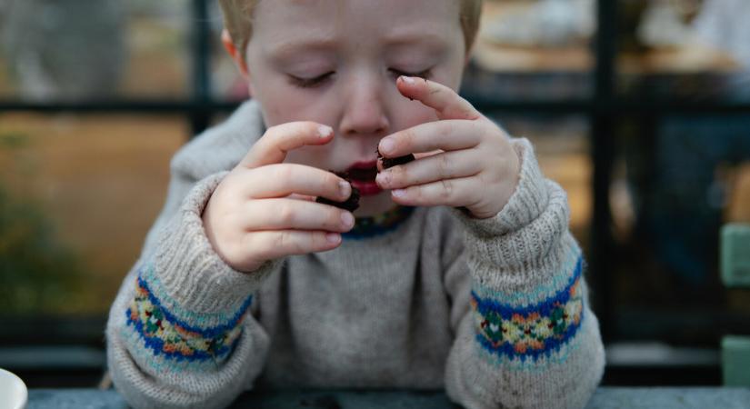 Félrenyelt a kisfiú – majdnem fulladást okozott egy kekszdarab