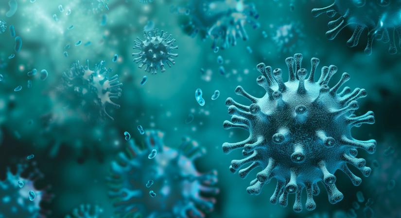 Nyakunkon a légúti megbetegedések szezonja – a védelem kulcsa a megelőzés