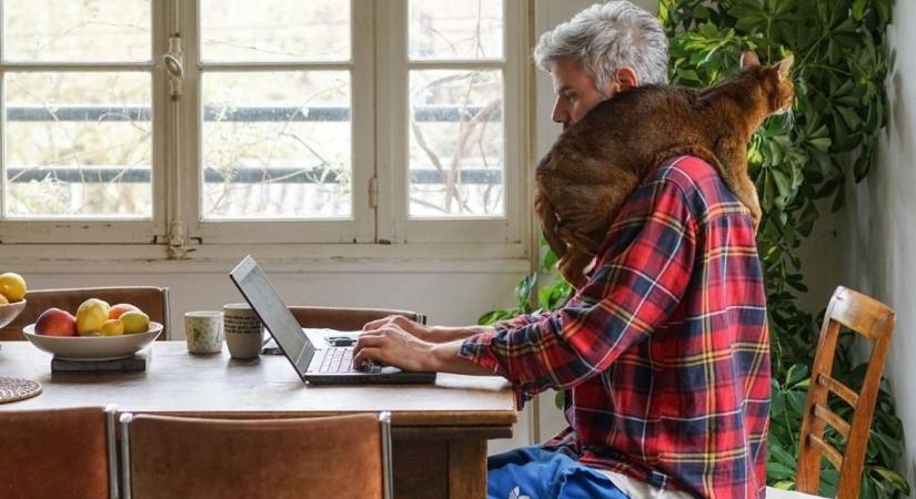 Home Office: a varázsige a legtöbb munkavállaló számara, amivel még akár jól is lehet keresni