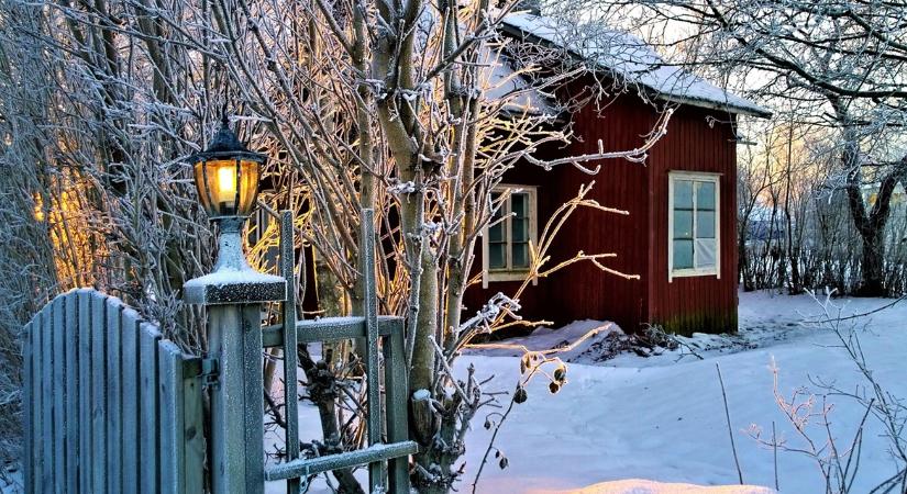 A „téli lustaság” pszichológiája kertészeknek