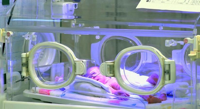 Minden tizedik baba koraszülött – Ringató, terápiás kutya és lila fény a legkisebbekért a Balassában!