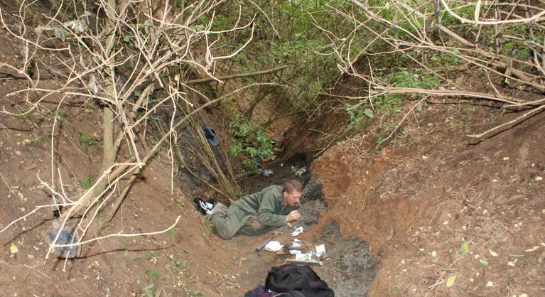 Csodálatos felfedezést tettek Erdélyben, kivételesen gazdag dinoszaurusz-lelőhelyre bukkantak