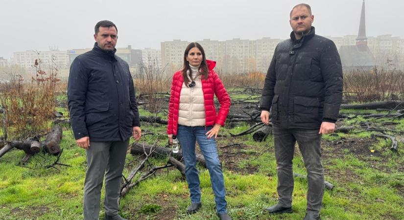 Felkavarhatja a politikai állóvizet a Georgescuért rajongó műsorvezető