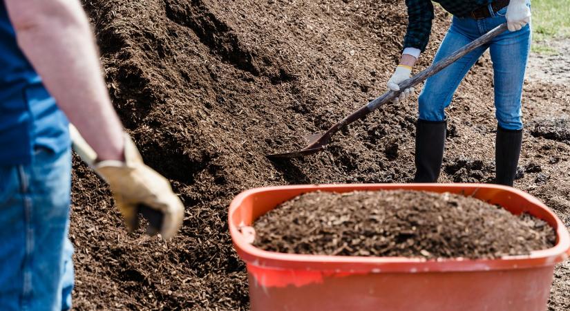 Többet tud a komposzt, mint hinnéd