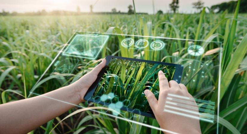 Nincs mese: ezt meg kell lépniük a magyar gazdáknak