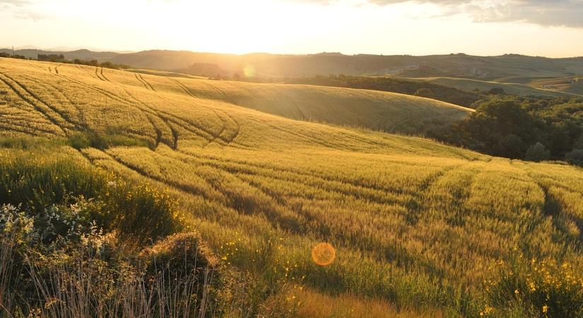 Gyorsabb ügyintézés, kevesebb papír: könnyebb lesz a gazdák dolga