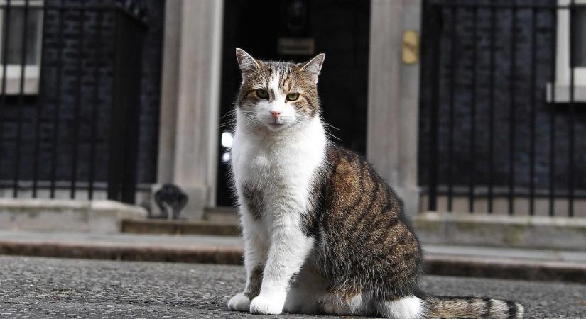 Dokumentumfilm készül a brit miniszterelnökség egyetlen biztos pontjáról