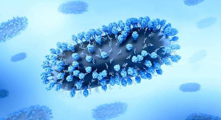 Veszélyes vírus jelent meg ebben a magyar vármegyében: a hatóságok igyekeznek megfékezni a járványt