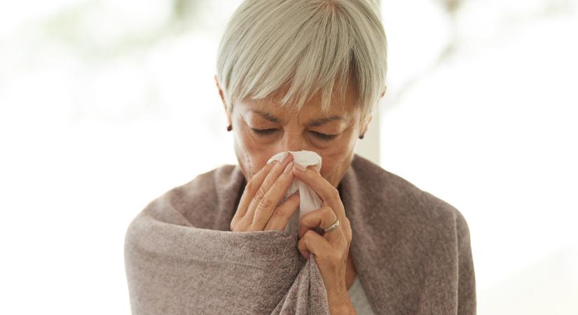 Kik vannak a legnagyobb veszélyben influenza idején?