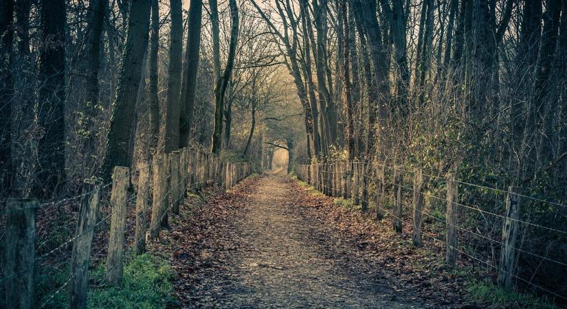 Időjárás: élénk szél hordja majd az arcodba a havas esőt VIDEÓ