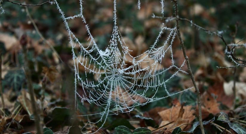 Csütörtökön viharos idő vár ránk – mutatjuk a részleteket!