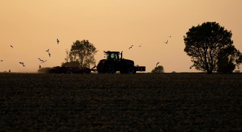 Esőben, szürkületben világítás nélkül traktorozott, és nem ez a legrosszabb az egészben