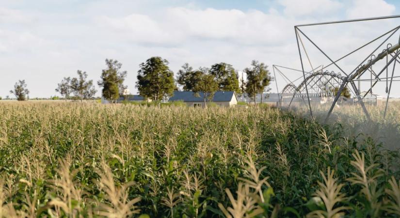 Hogyan tervezzünk hatékony öntözőrendszert?