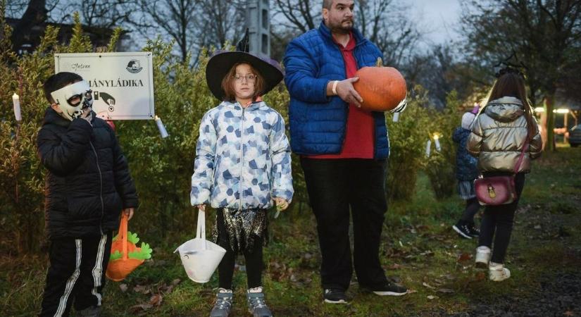 A róka és a szarvas rajza nyert a Hatvani Vadaspark pályázatán