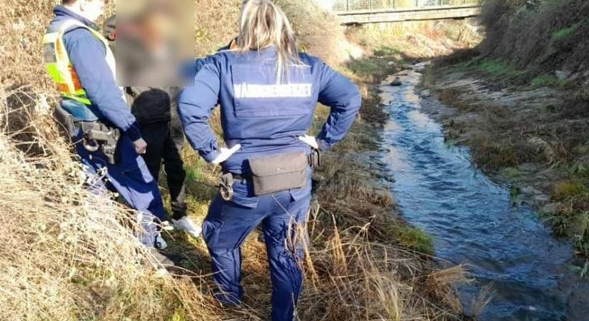 Ingyen mozizott egész Gyöngyös, kukameghajtásos rablót kergettek a rendőrök! Csodás fotók, szaftos részletek