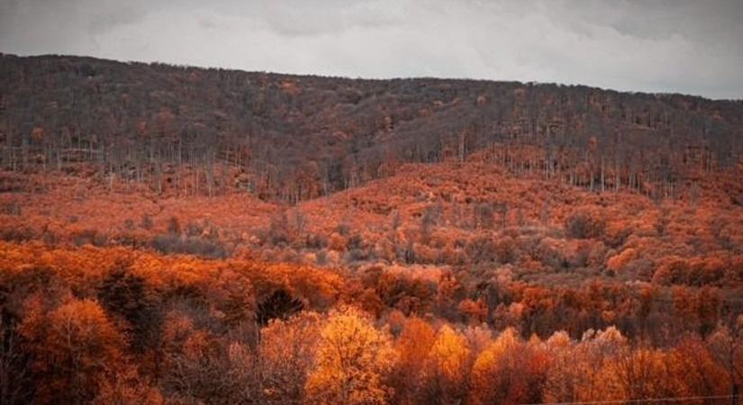 Így fest a Bakony ősszel, csoda szép olvasói fotókon mutatjuk