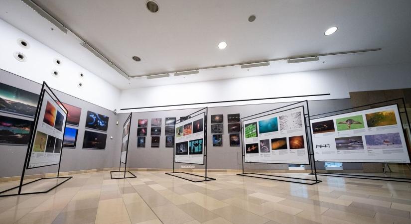 Litauszki Tibor kapta az év természetfotósa díjat