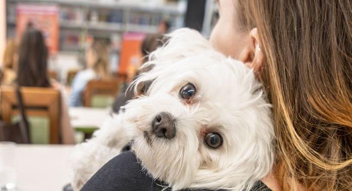 Tudatos gondoskodás négylábú családtagjainkért