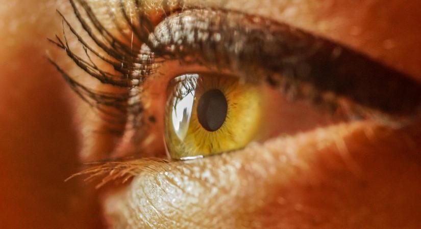 Magyar kutatók mesterséges intelligencia segítségével kerültek közelebb az emberi látás megértéséhez