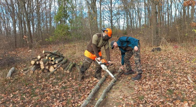 Diákokkal közösen végeznek gyérítéseket az Arborétumban – fotók