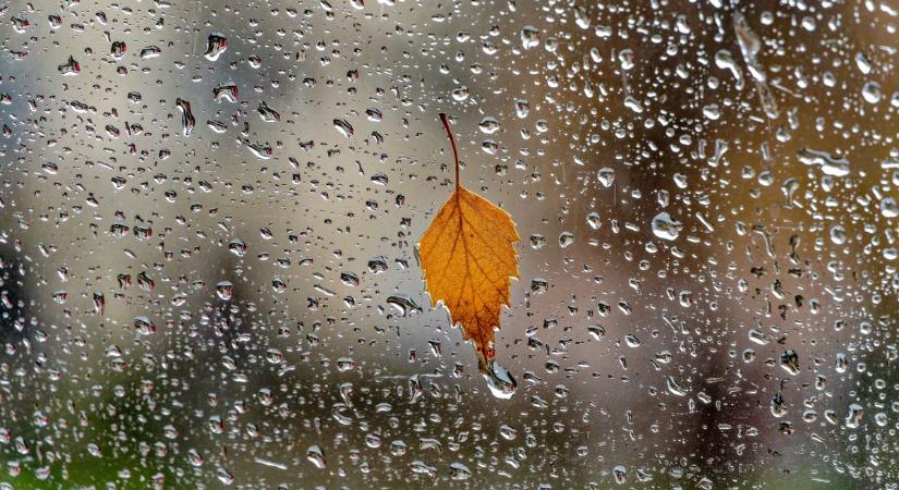 Borús, de enyhe csütörtök