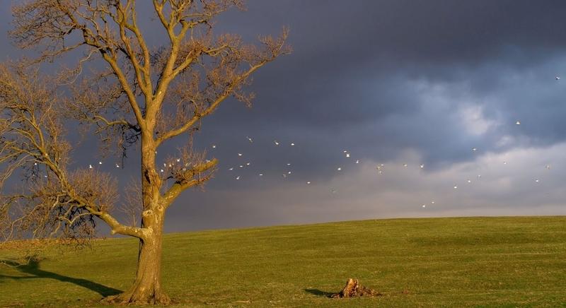 Csütörtöktől ismét növekszik a csapadékhajlam