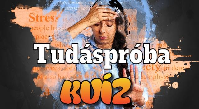 Tudáspróba kvíz: Átlag feletti az intelligenciád? Derítsd ki most ezzel a 10 kérdéses kvízzel!