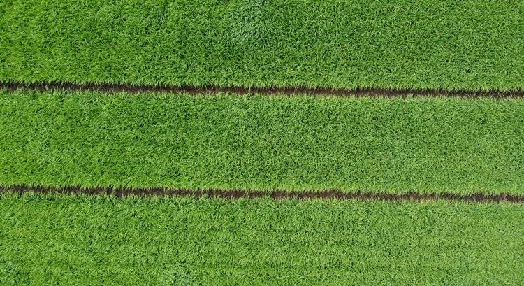 Mezoelemekből makroelemek