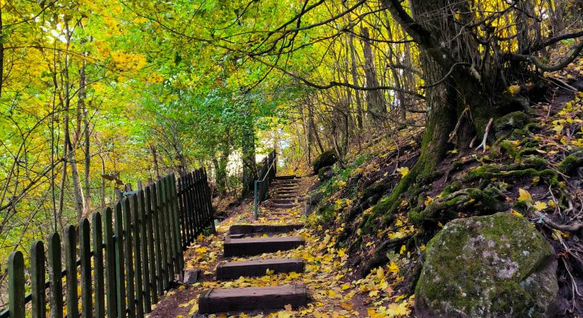 Top 5 meseszép Dobogókőről induló túra, amit nem hagyhatsz ki