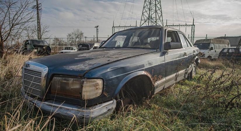 Ahol a történelem lekapcsolta a gyújtást: elhagyatott autótemetőre bukkantak ( galéria)