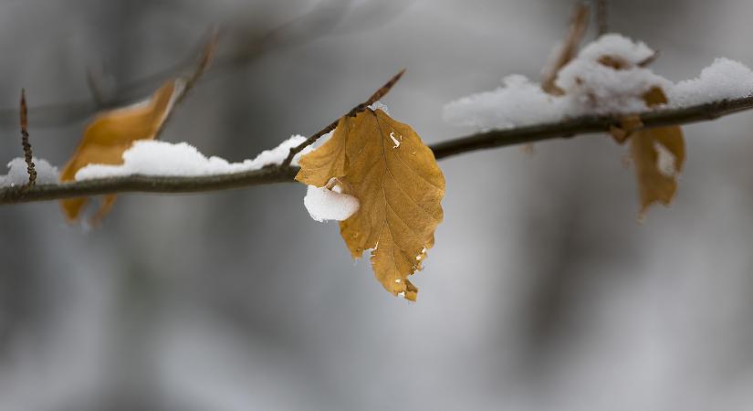 Már a határon van a ciklon, biztosan nem lehet eltéríteni