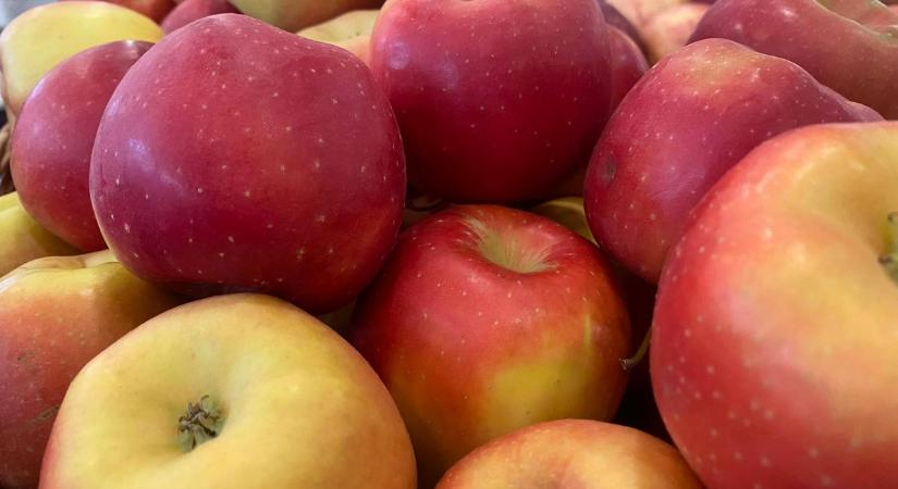Friss hazai alma novemberben: árak, tárolási tanácsok és felhasználási ötletek
