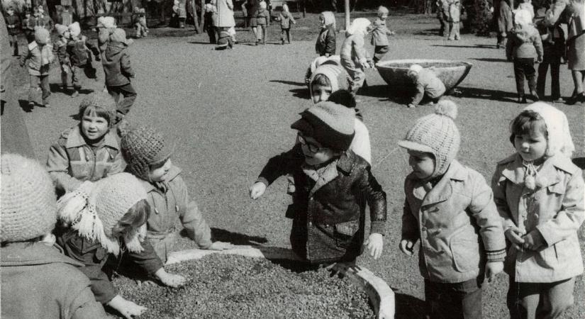 Olvasónk üzent: Szép voltál, Rózsa – de mi lett belőled?