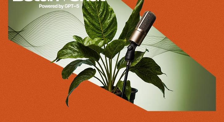 A Mediatorral kampányol az Oázis