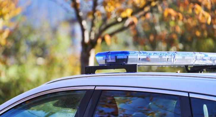 Kidobott kutya miatt hívták ki a rendőrséget, köpni-nyelni nem tudtak a járőrök, amikor kiértek a helyszínre