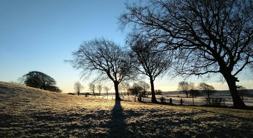 Napi üzenet csütörtök – 2025. 11. 20.