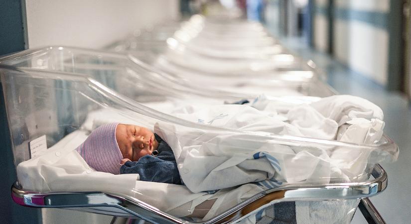 Nemhogy csökkent, nőtt a kórházban élő csecsemők száma