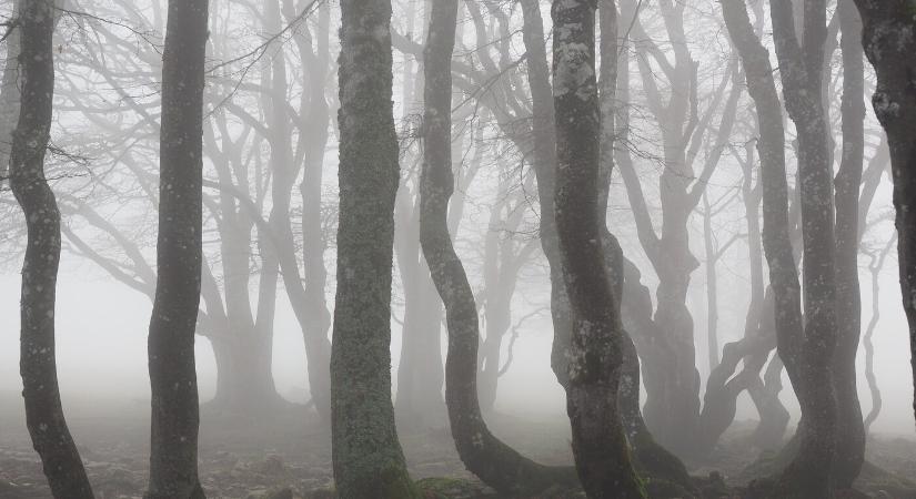 Ismét szürkére és csapadékosra fordul az időjárás
