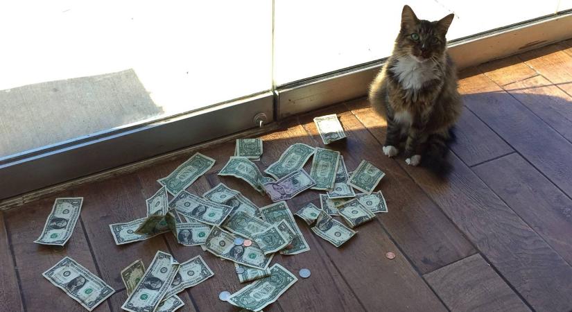 66 milliárd forint a Krakennek: tőzsdére lép a kriptotőzsde